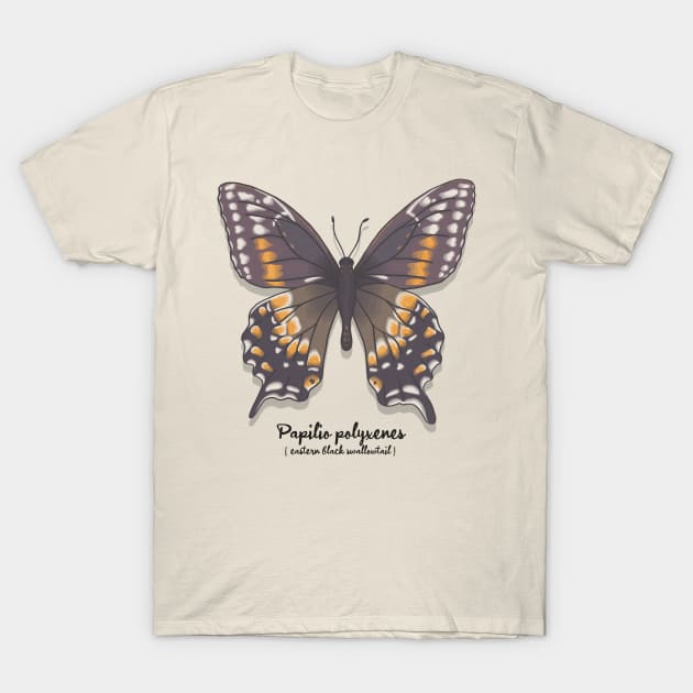 Eastern Black Swallowtail T-Shirt by Sepheria